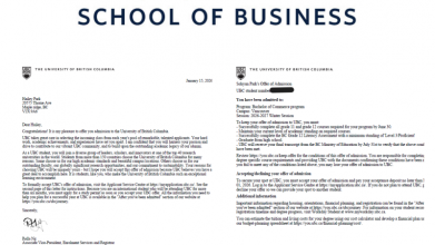 hailey ubc sauder collage.png